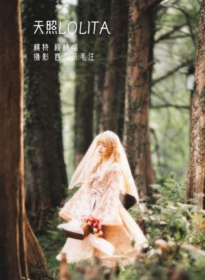闪闪的儿科医生第二季免费观看