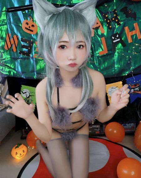 狗狗博客