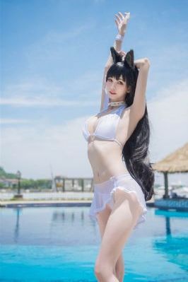 守业者